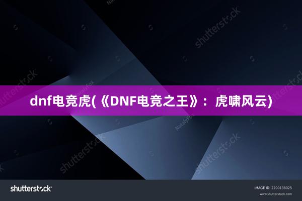 dnf电竞虎(《DNF电竞之王》：虎啸风云)