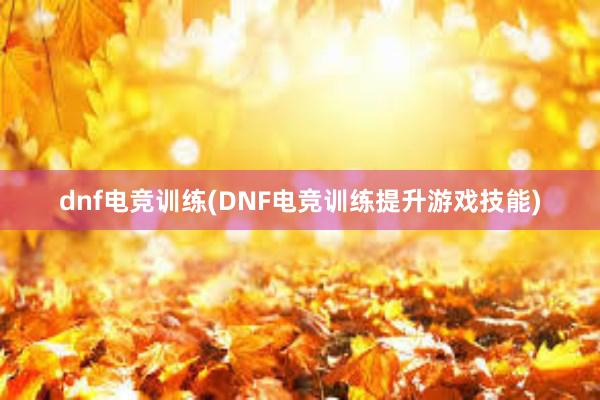 dnf电竞训练(DNF电竞训练提升游戏技能)