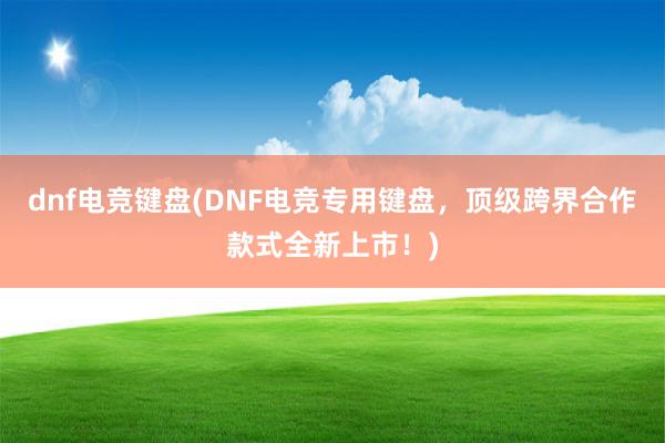 dnf电竞键盘(DNF电竞专用键盘，顶级跨界合作款式全新上市！)