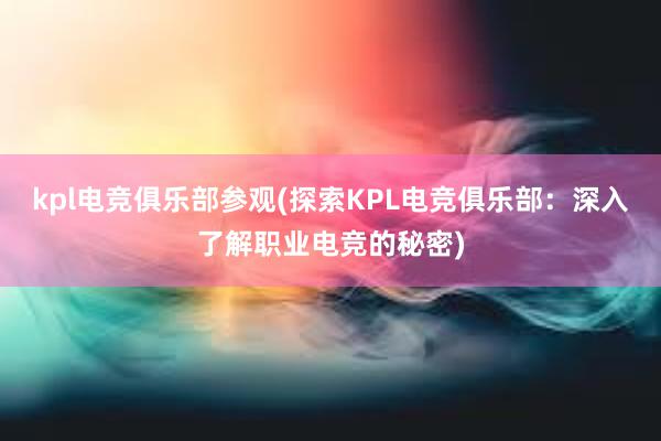 kpl电竞俱乐部参观(探索KPL电竞俱乐部：深入了解职业电竞的秘密)