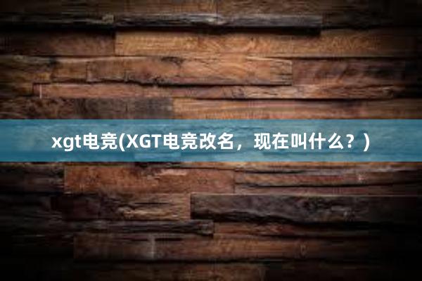 xgt电竞(XGT电竞改名，现在叫什么？)