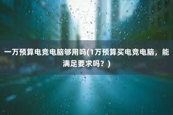 一万预算电竞电脑够用吗(1万预算买电竞电脑，能满足要求吗？)