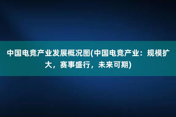 中国电竞产业发展概况图(中国电竞产业：规模扩大，赛事盛行，未来可期)