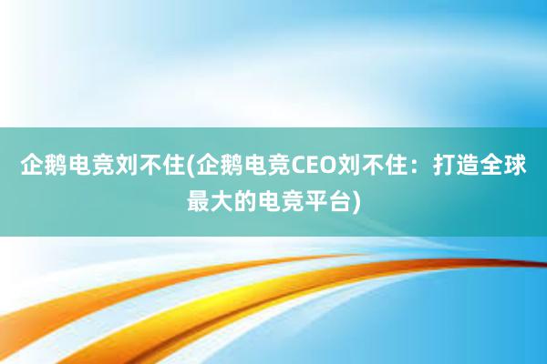 企鹅电竞刘不住(企鹅电竞CEO刘不住：打造全球最大的电竞平台)