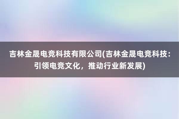 吉林金晟电竞科技有限公司(吉林金晟电竞科技：引领电竞文化，推动行业新发展)