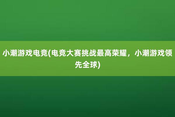 小潮游戏电竞(电竞大赛挑战最高荣耀，小潮游戏领先全球)