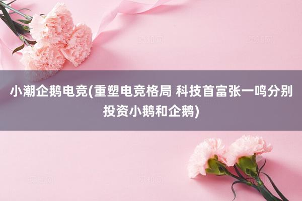 小潮企鹅电竞(重塑电竞格局 科技首富张一鸣分别投资小鹅和企鹅)