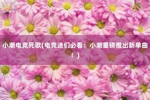 小潮电竞死歌(电竞迷们必看：小潮重磅推出新单曲！)