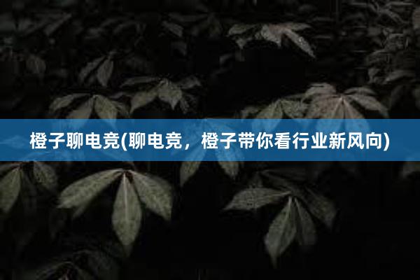 橙子聊电竞(聊电竞，橙子带你看行业新风向)