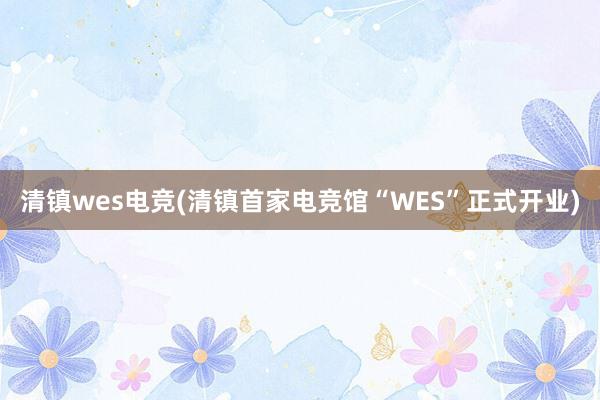 清镇wes电竞(清镇首家电竞馆“WES”正式开业)