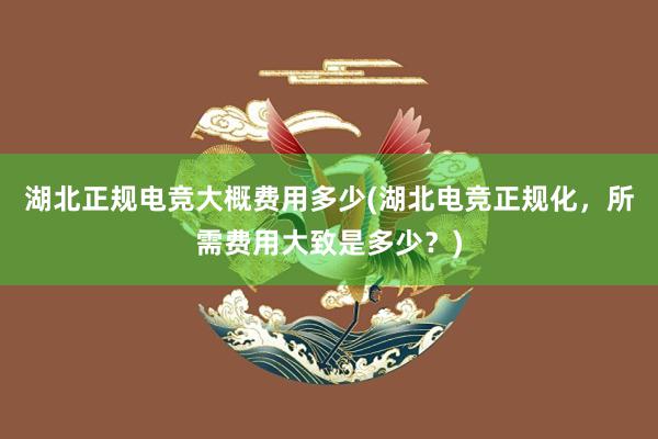 湖北正规电竞大概费用多少(湖北电竞正规化，所需费用大致是多少？)