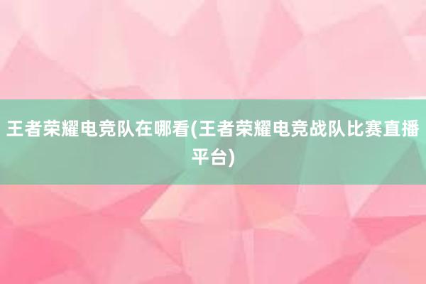 王者荣耀电竞队在哪看(王者荣耀电竞战队比赛直播平台)