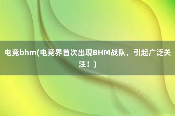 电竞bhm(电竞界首次出现BHM战队，引起广泛关注！)