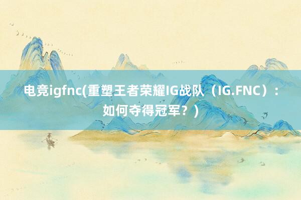 电竞igfnc(重塑王者荣耀IG战队（IG.FNC）：如何夺得冠军？)