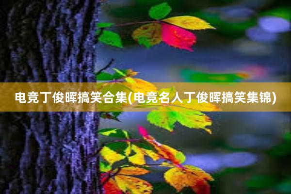 电竞丁俊晖搞笑合集(电竞名人丁俊晖搞笑集锦)