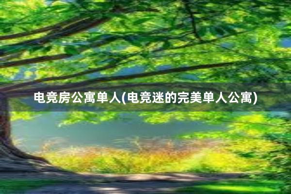 电竞房公寓单人(电竞迷的完美单人公寓)