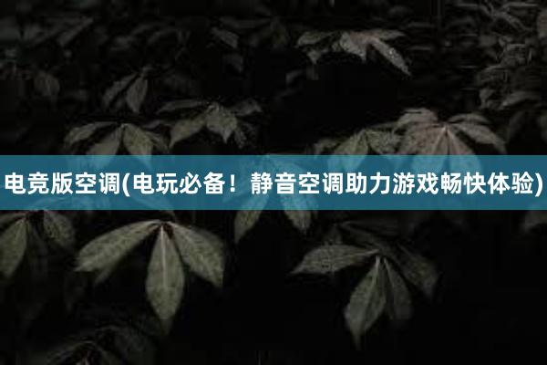 电竞版空调(电玩必备！静音空调助力游戏畅快体验)