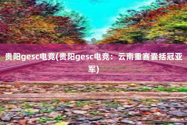 贵阳gesc电竞(贵阳gesc电竞：云南重赛囊括冠亚军)