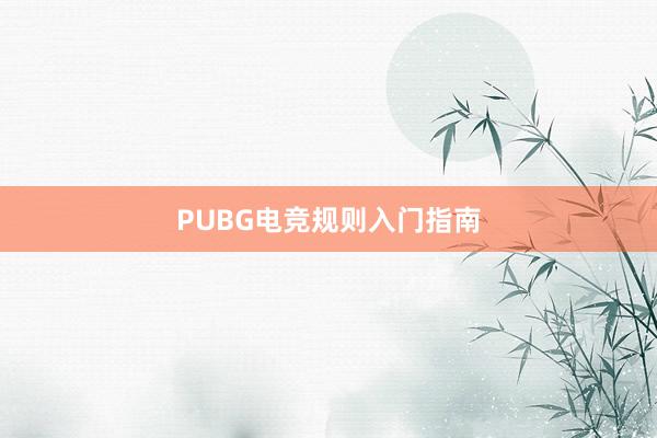 PUBG电竞规则入门指南