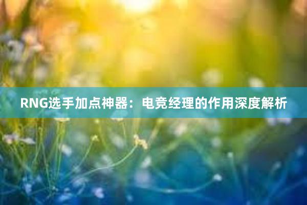 RNG选手加点神器：电竞经理的作用深度解析