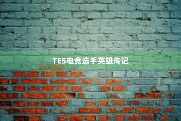 TES电竞选手英雄传记