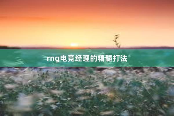 rng电竞经理的精髓打法