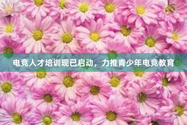 电竞人才培训现已启动，力推青少年电竞教育