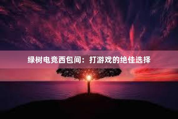 绿树电竞西包间：打游戏的绝佳选择