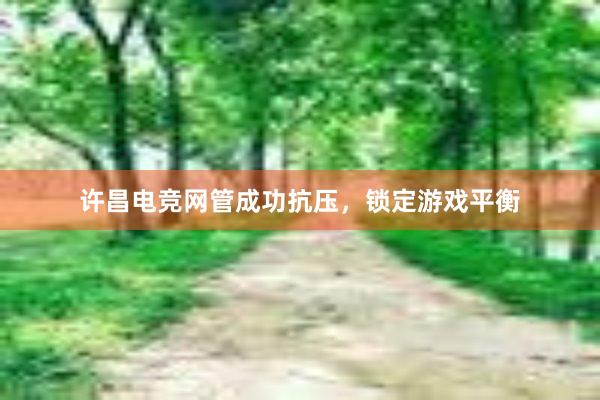 许昌电竞网管成功抗压，锁定游戏平衡